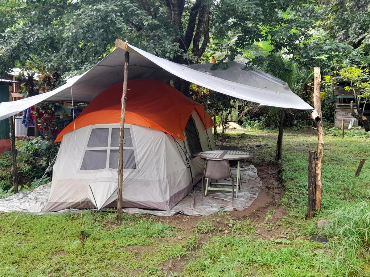 3 Rivers Eco Lodge Rosalie Esterno foto